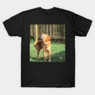 Golden Retriever T-Shirt